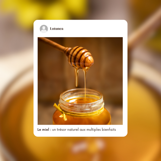 Le miel : un trésor naturel aux multiples bienfaits